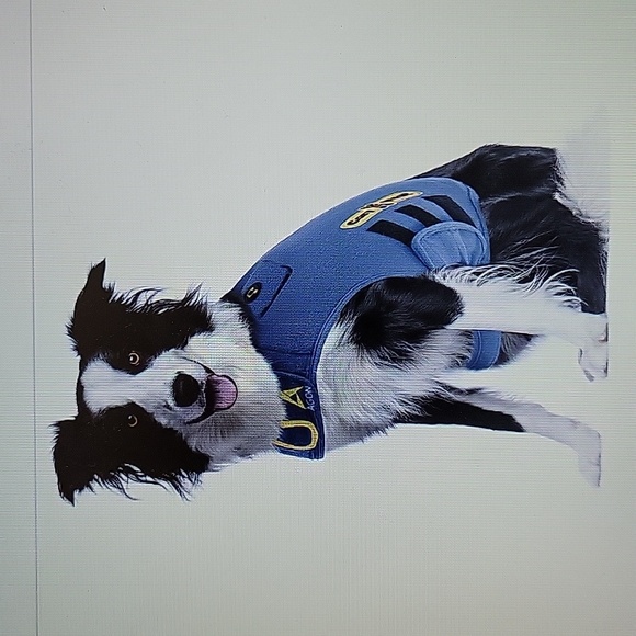 Cozy Vest 3in1 dog anxiety vest  music aromatherapy stress relief Medium…New - Picture 2 of 8